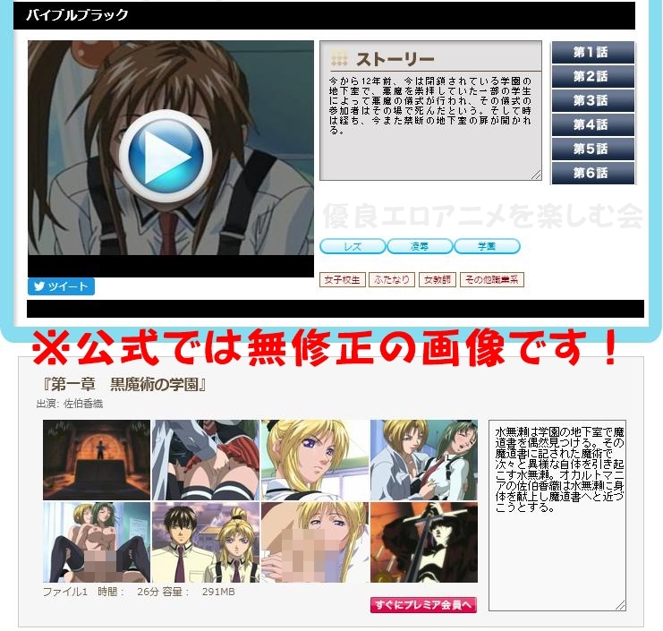 HAnimeZ